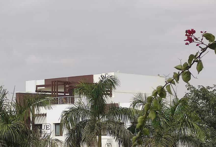 13 557b5aa3-6657-4e6c-9b4c-3fe3e50b189a. jpg