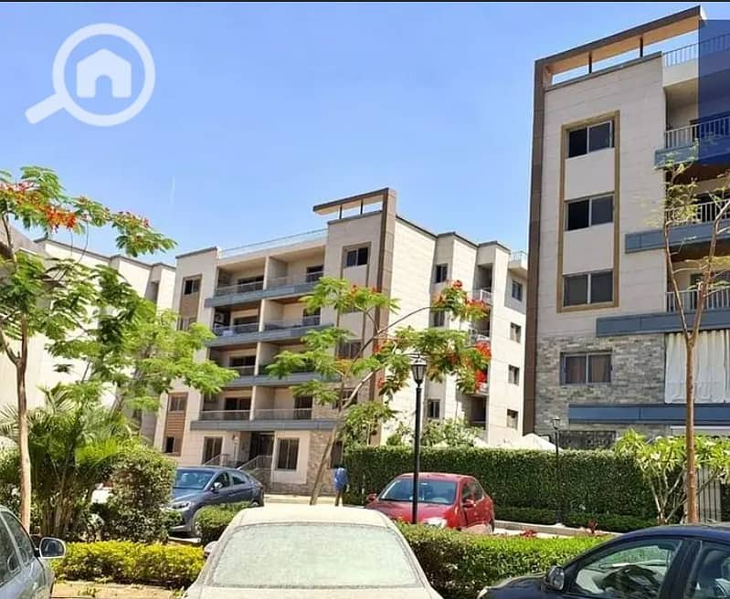 7 Screenshot_204. png