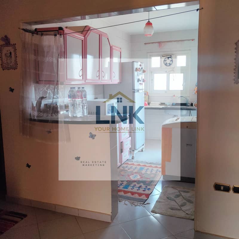 11 fc454c09-1b46-4c3c-9357-ef0c0f46f087. jpg