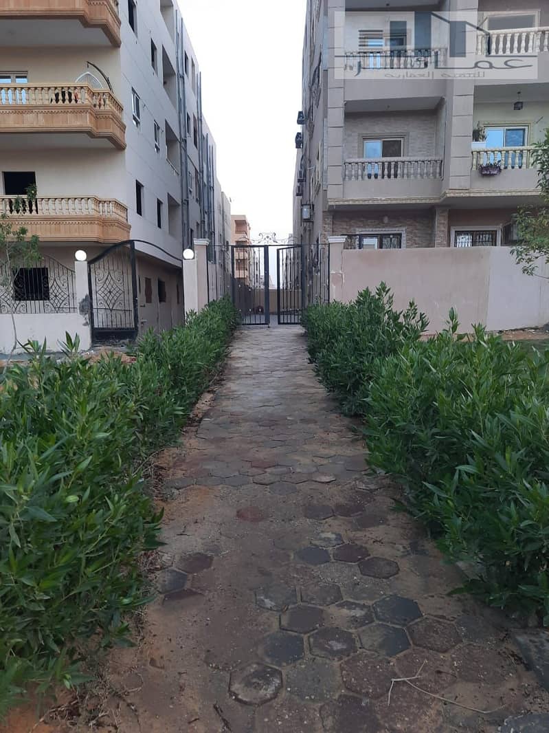 8 WhatsApp Image 2024-08-05 at 18.04. 15_eb0c6624. jpg