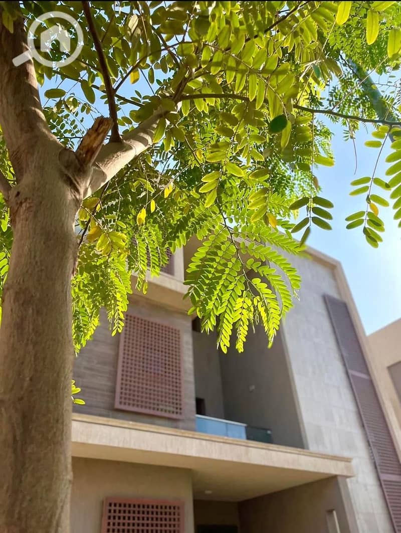 4 IMG-20250622-WA0257. jpg