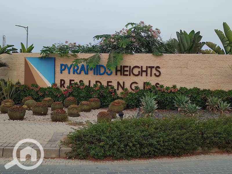 10 481644572_623624323747535_600977666209320642_n. jpg