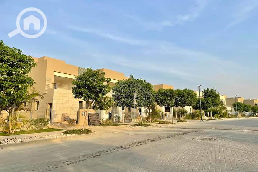 5 Background (14). png