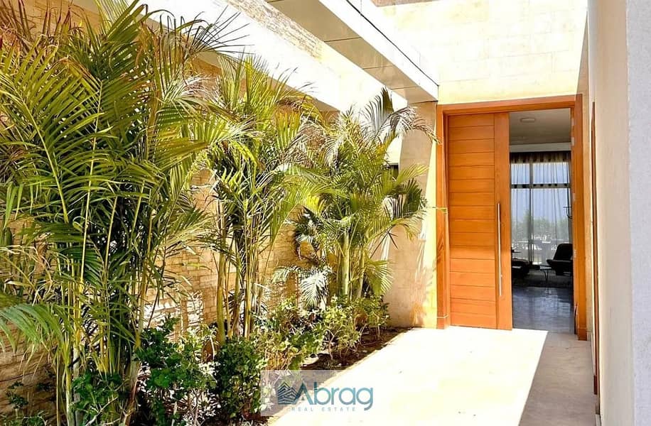 7 7824161-a4dd8o. jpg