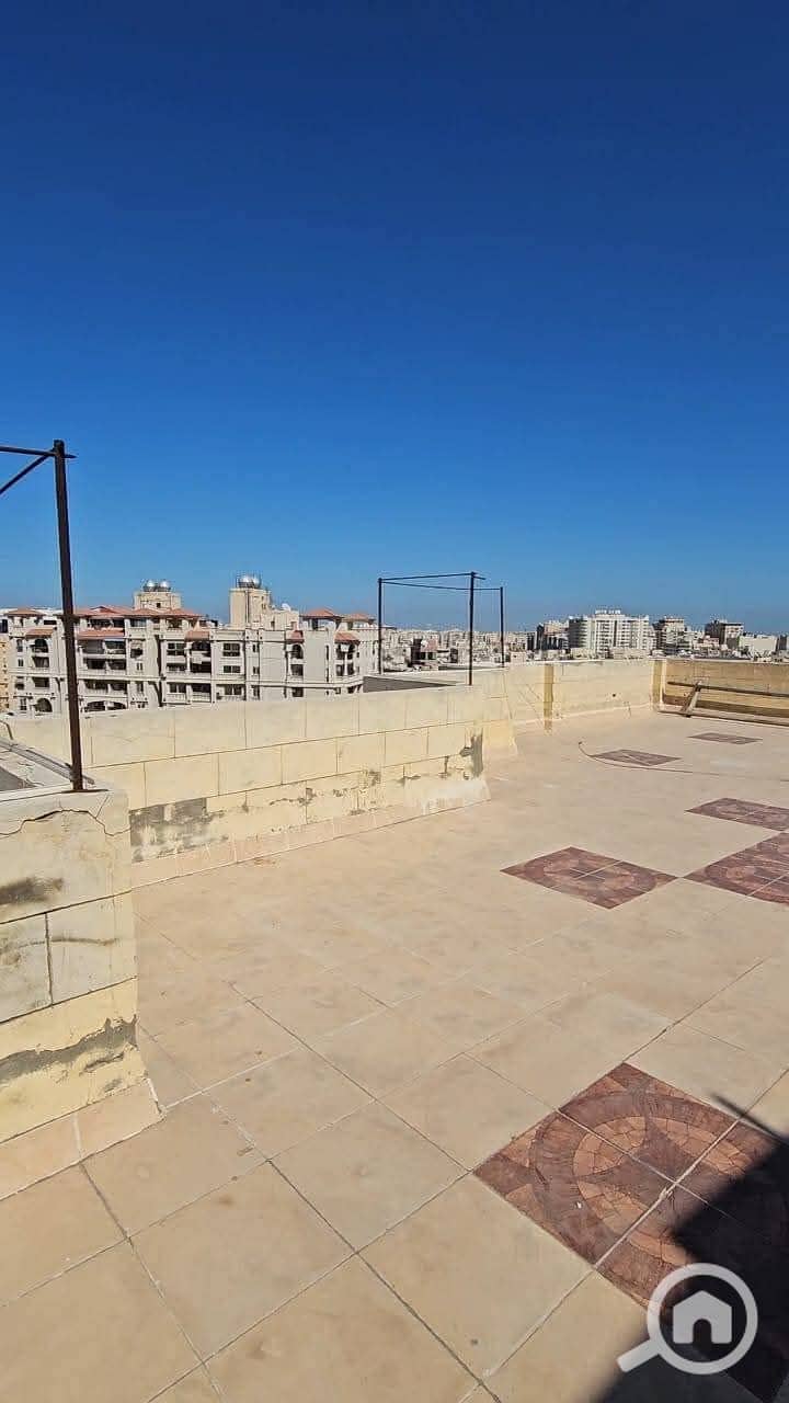 4 WhatsApp Image 2026-01-15 at 12.02. 03 PM. jpeg