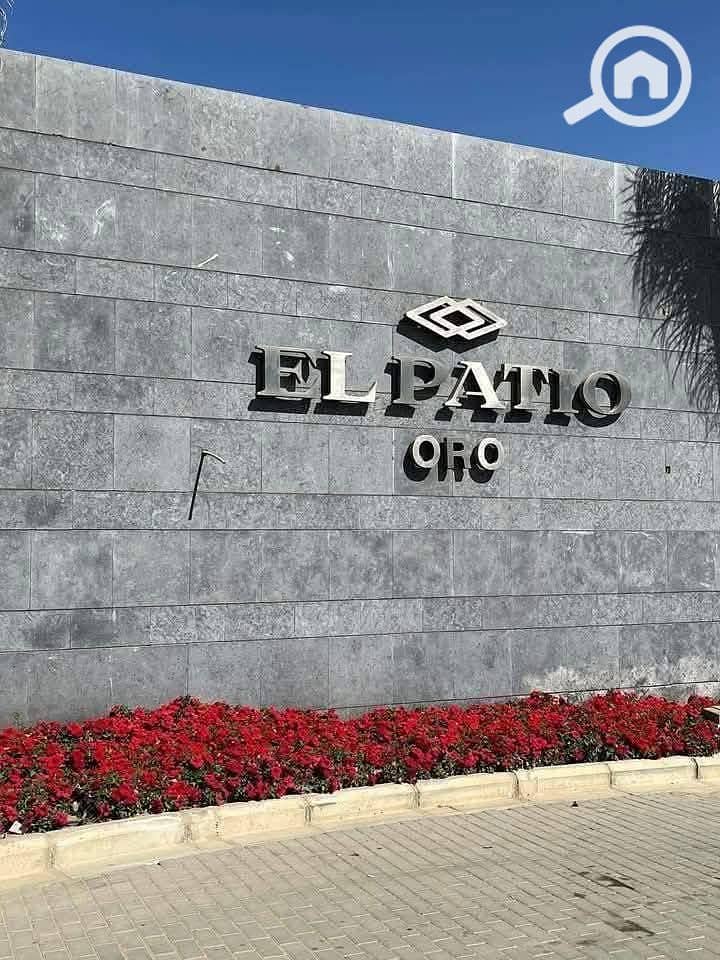 8 611655287_122115414543128349_490159907725936199_n. jpg