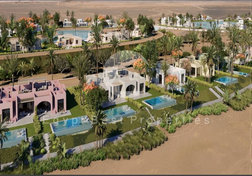 20 WhatsApp Image 2024-03-21 at 12.54. 29 PM. jpeg