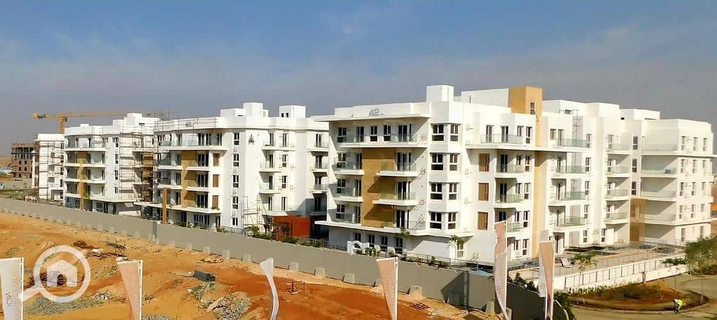 6 WhatsApp Image 2024-08-13 at 15.09. 56_eb2c14e8. jpg