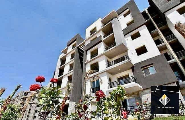 6 924be002-67f3-4ef9-a8a9-e8a9d65f4b50. jpeg