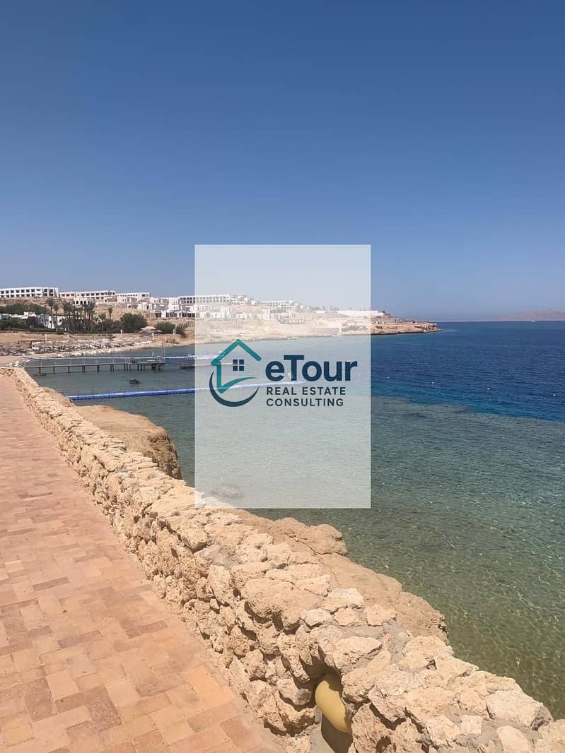 3 72121cb0-dfbb-433b-b34c-f393e0237438. jpg