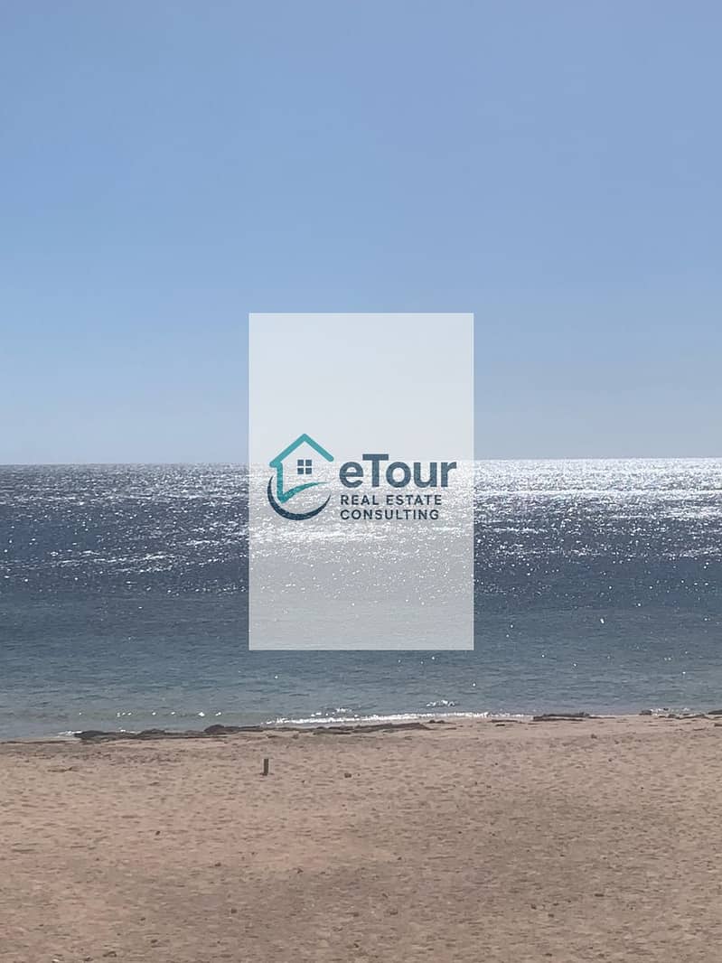 13 1e2bcd88-2d54-4fdc-b04d-5456ba8351cd. jpg