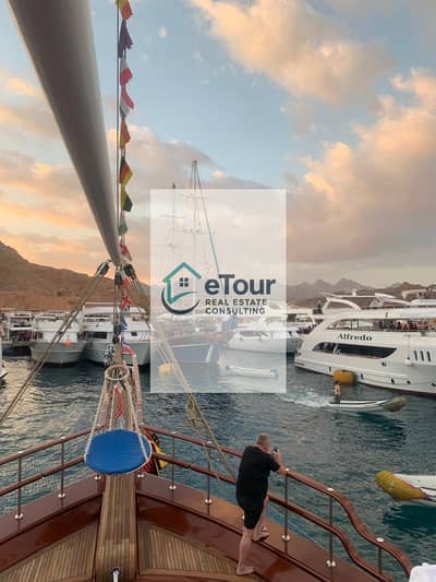 Other Commercial for Sale in Sharm al-Sheikh, Sinai - sharm bob and city tour 4. jpg