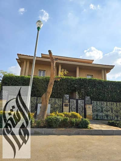 5 Bedroom Villa for Rent in Madinaty, Cairo - WhatsApp Image 2026-01-21 at 1.33. 00 PM (1). jpeg