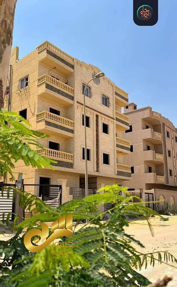 10 489452319_1205917501112830_2395928408954022505_n. jpg