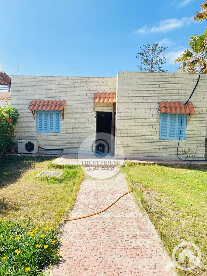 3 WhatsApp Image 2026-01-11 at 17.42. 23. jpeg