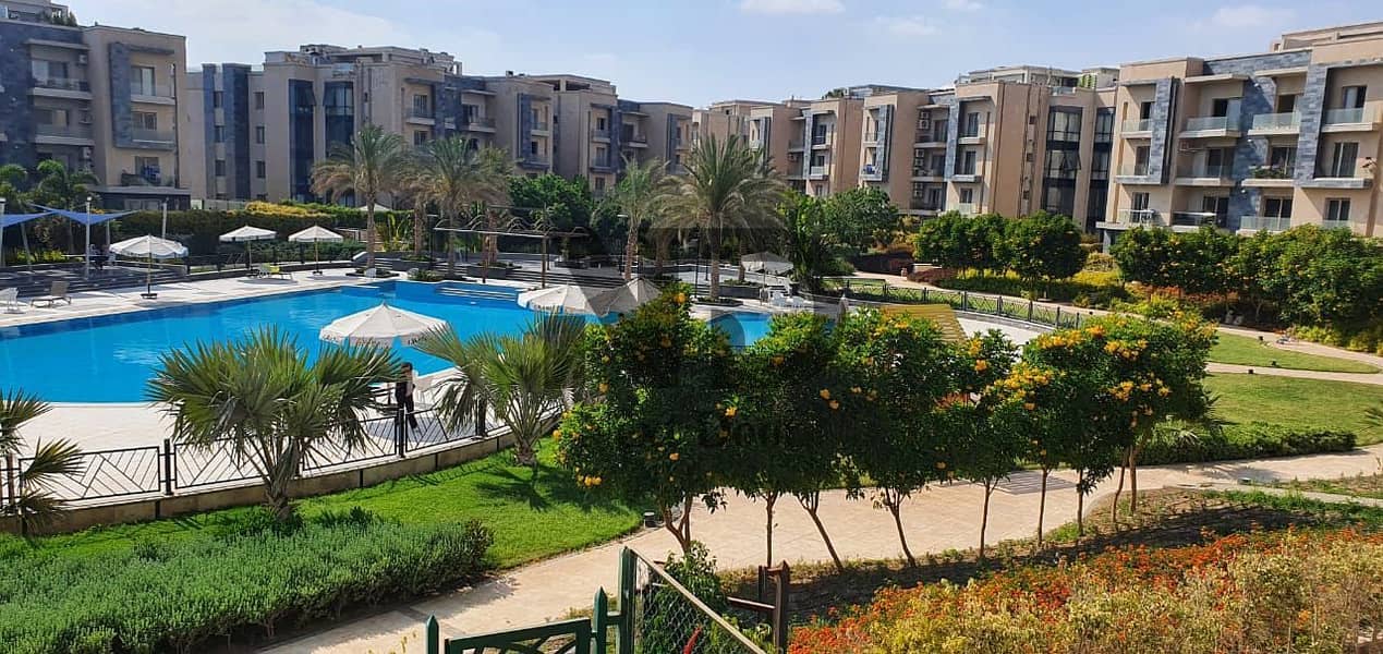 4 546963451_10237303300819362_5825263036885939652_n. jpg