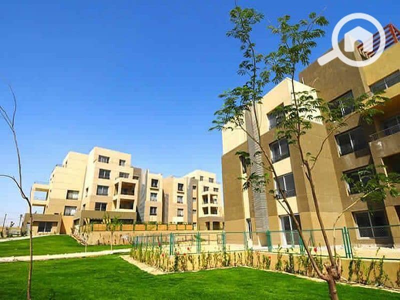 8 WhatsApp Image 2024-08-14 at 17.07. 32_87610bd6. jpg