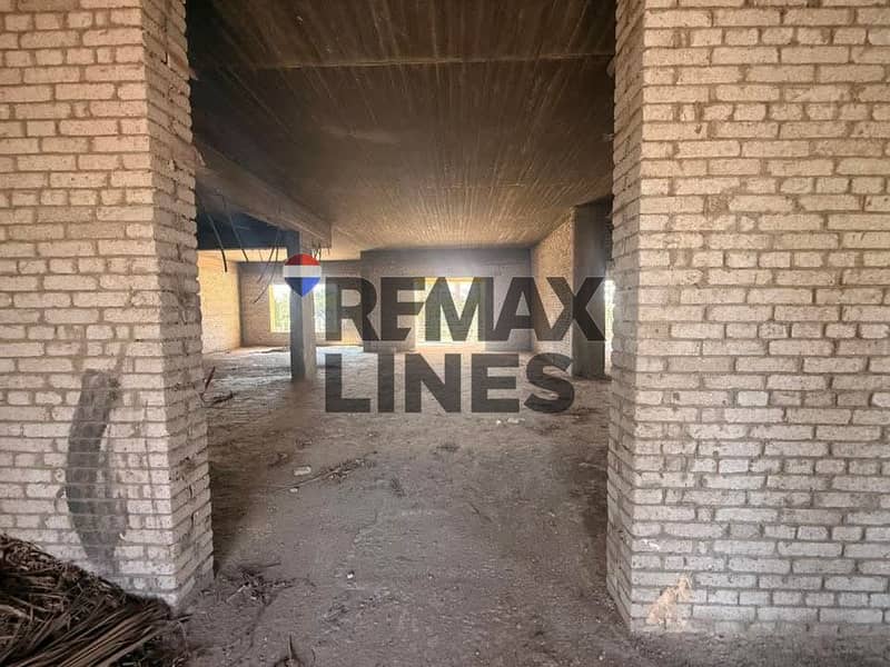 3 WhatsApp Image 2026-01-20 at 23.02. 39 (1). jpeg