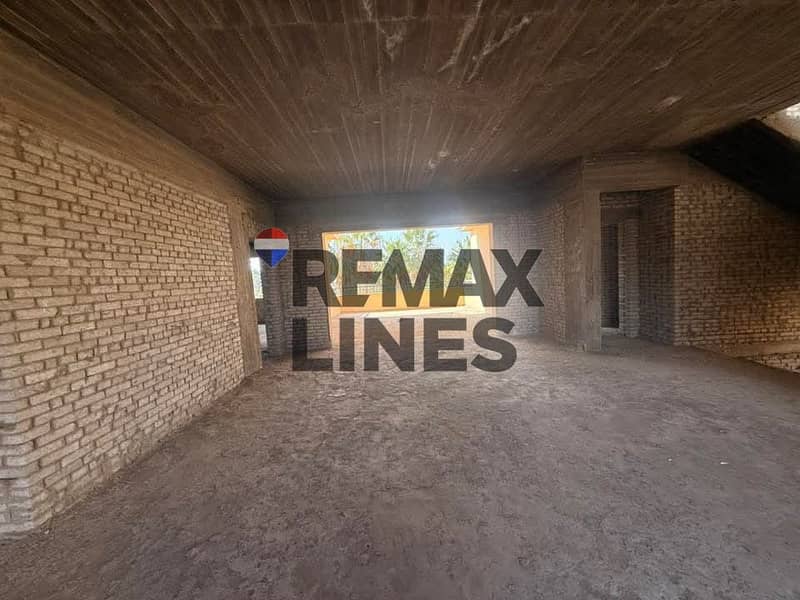 4 WhatsApp Image 2026-01-20 at 23.02. 39 (2). jpeg