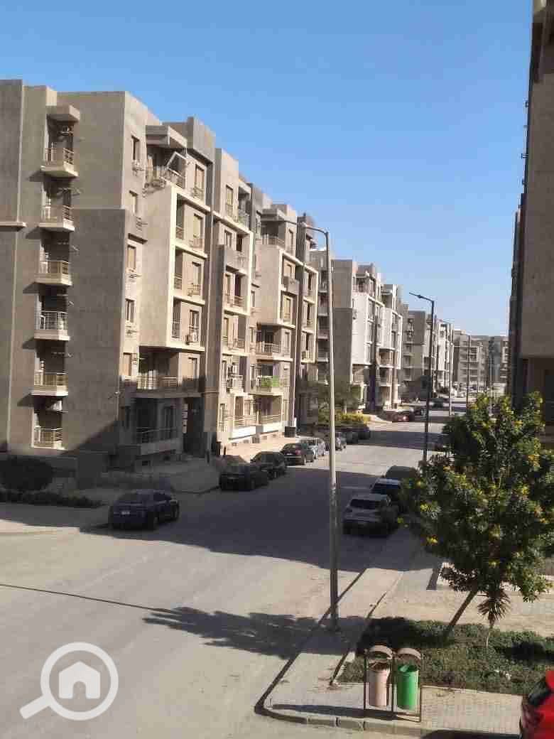 1000161272. jpg 1000161272. jpg