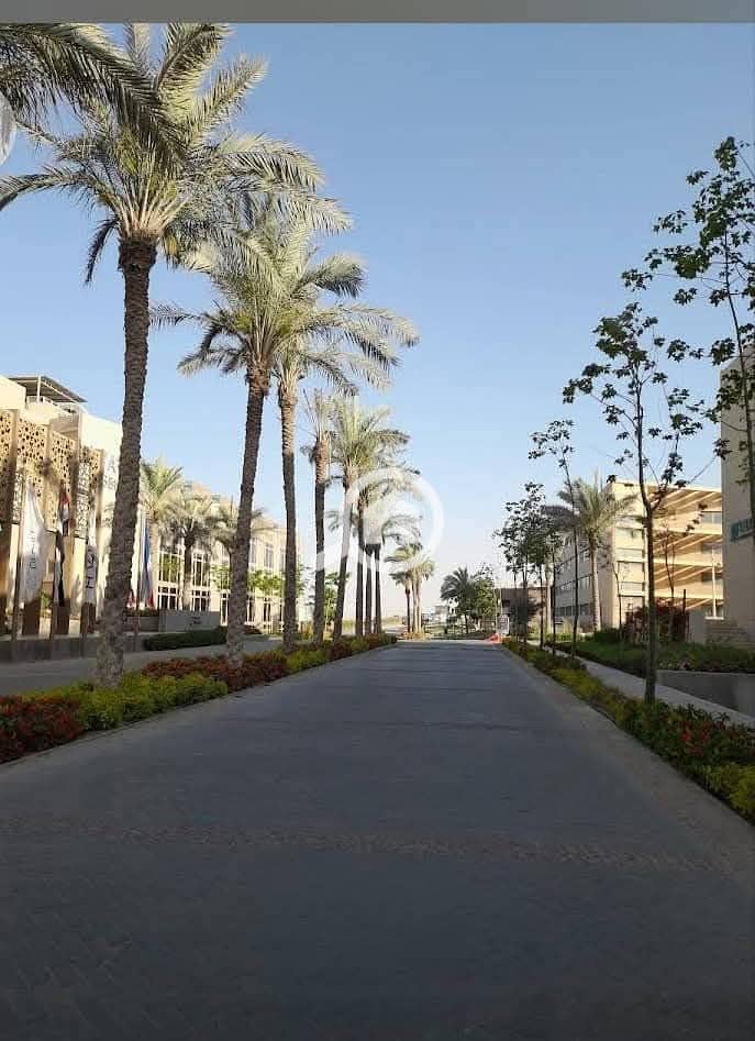 8 FB_IMG_1740050380898. jpg