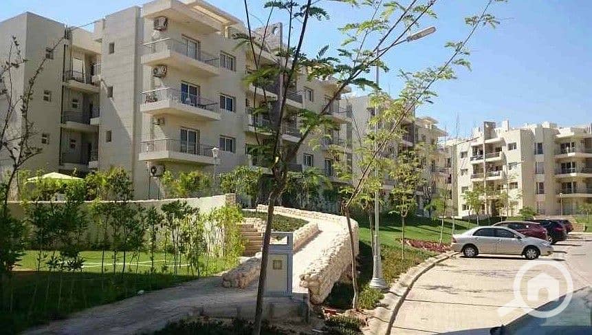 5 WhatsApp Image 2025-10-07 at 4.45. 50 PM (1). jpeg