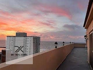 23 WhatsApp Image 2026-01-20 at 3.59. 02 PM (1). jpeg