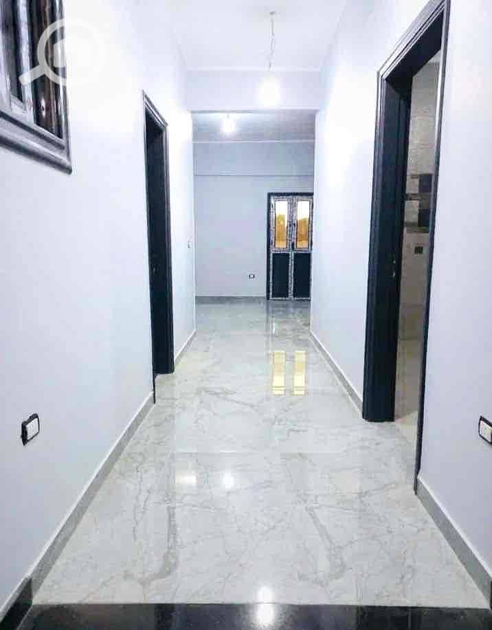 13 56a9a239-1fc0-408e-8206-0cb65f3f9fa2. jpg