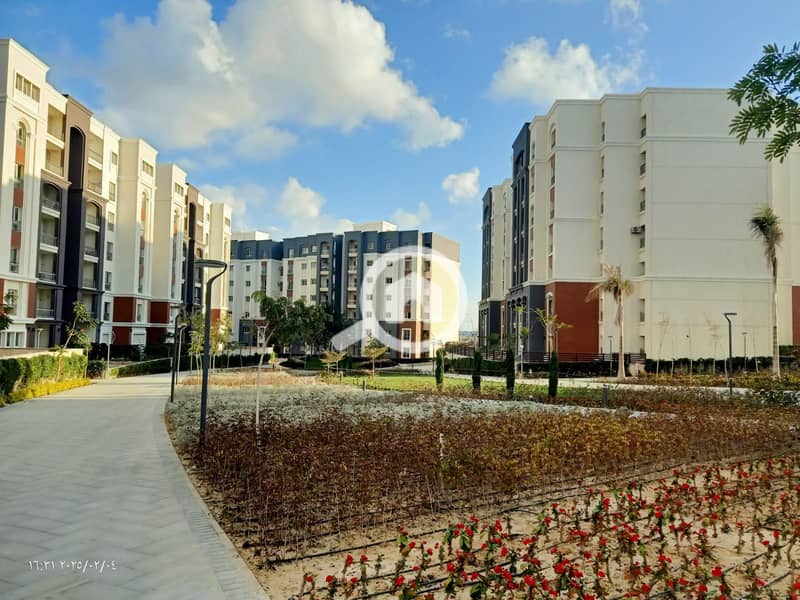 13 WhatsApp Image 2025-08-12 at 12.20. 27_b6df8210. jpg