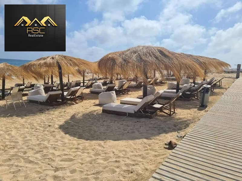 14 570206631_24333127626364392_2879258266579160028_n. jpg