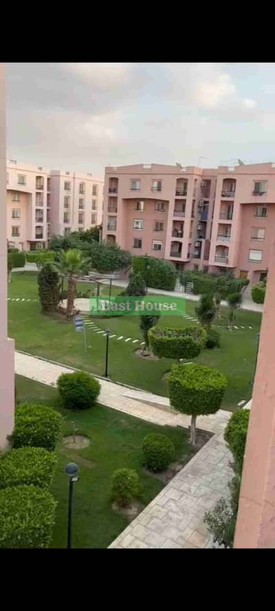 3 Bedroom Apartment for Rent in New Cairo, Cairo - 1000959112. jpg 3 Bedroom Apartment for Rent in New Cairo, Cairo - 1000959112. jpg