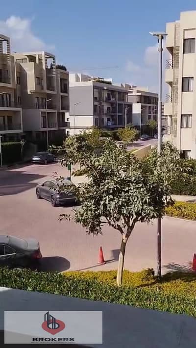 3 Bedroom Apartment for Rent in New Cairo, Cairo - WhatsApp Image 2026-01-21 at 2.15. 59 PM. jpeg 3 Bedroom Apartment for Rent in New Cairo, Cairo - WhatsApp Image 2026-01-21 at 2.15. 59 PM. jpeg