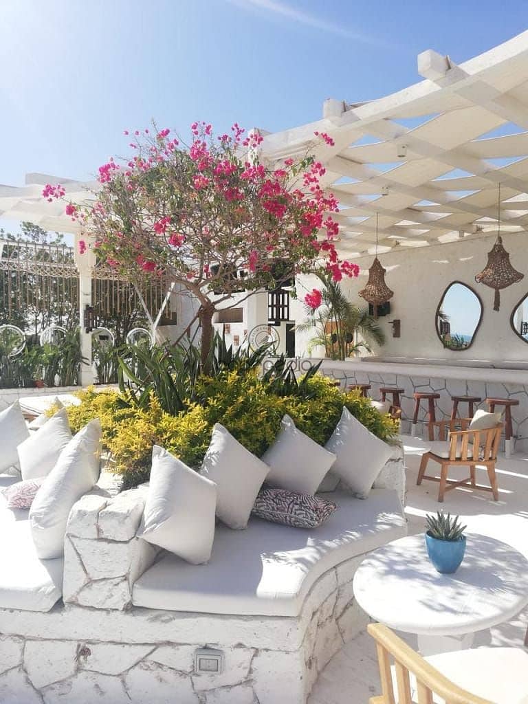 6 WhatsApp Image 2026-01-20 at 5.43. 52 PM. jpeg