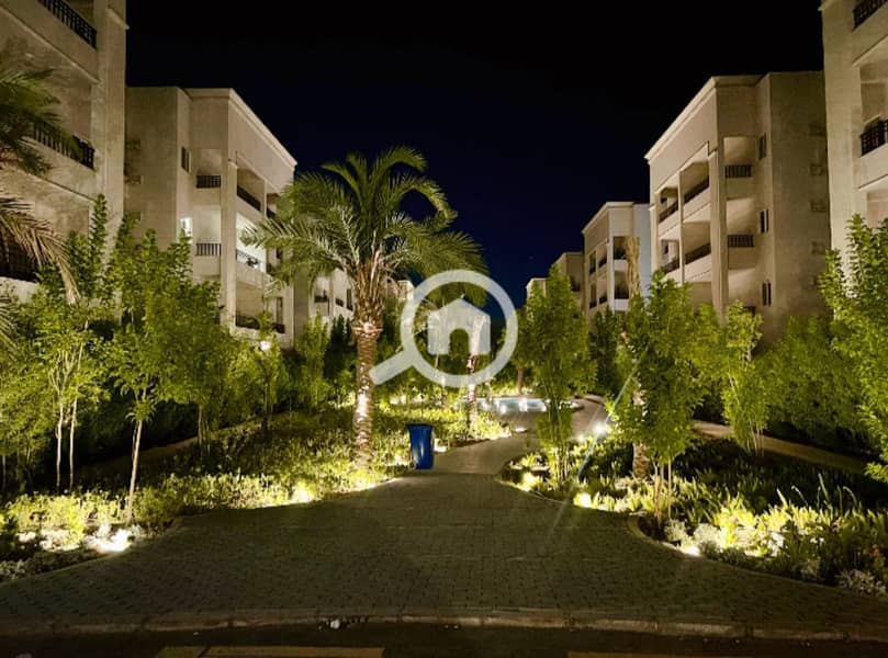 6 59474a37-28db-41ed-86fd-efd3639204d4. jpg