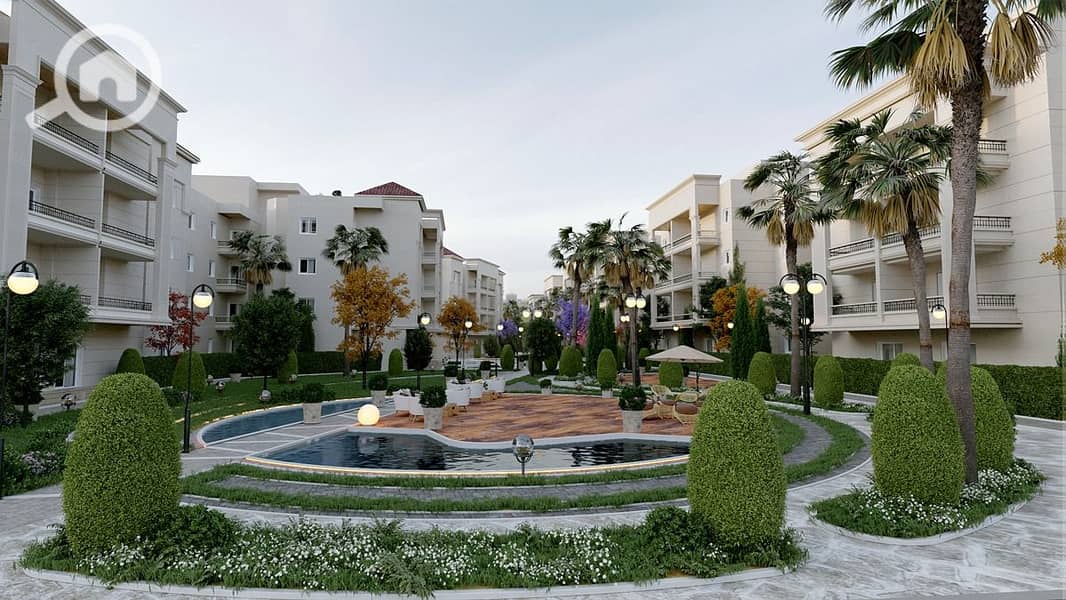 7 66303521_873273336379044_4815396334456537088_n. jpg