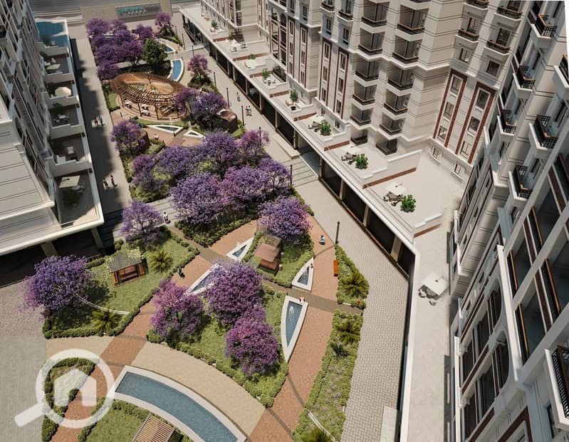 2 WhatsApp Image 2025-09-25 at 10.03. 18 AM (2). jpeg