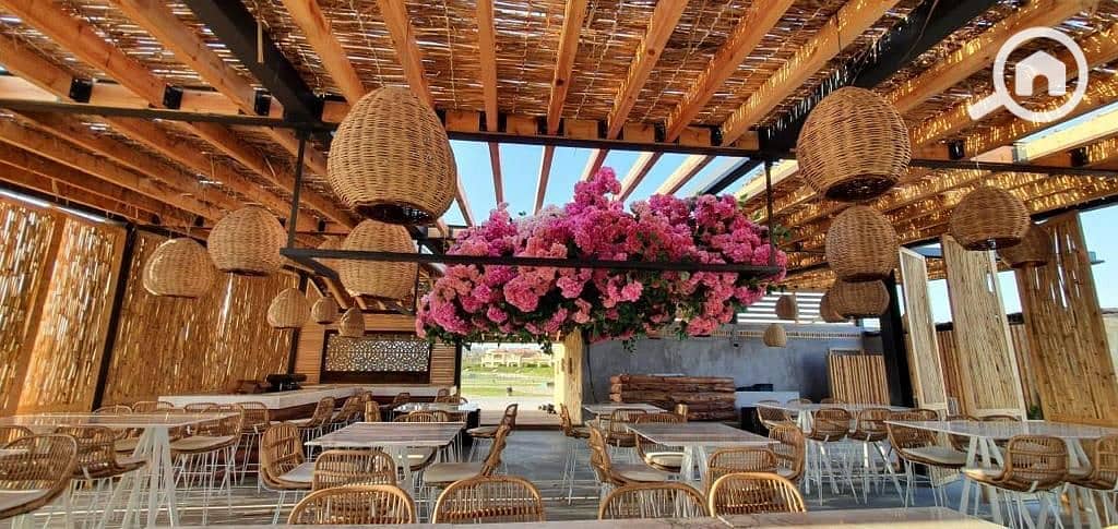 20 WhatsApp Image 2025-08-10 at 1.21. 52 PM. jpeg