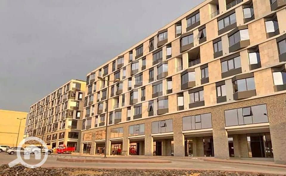 6 514786691_2152628485165344_8739531304144761039_n. jpg