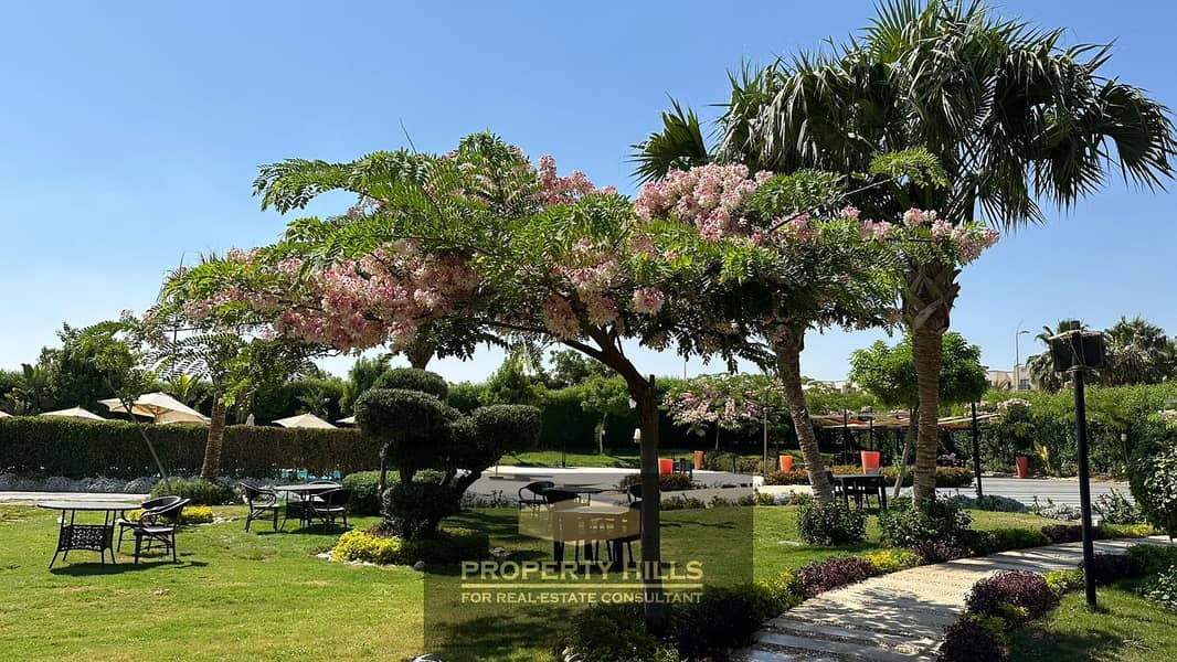 8 PHOTO-2024-10-24-15-06-01 2. jpg