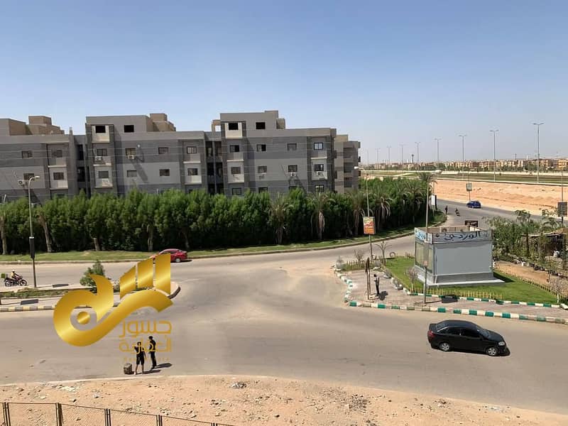 4 493723176_122206422908142013_6173696321564351683_n. jpg