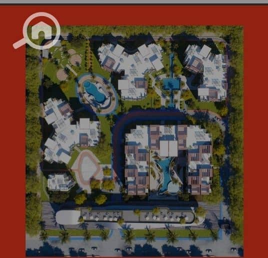 5 WhatsApp Image 2026-01-18 at 2.03. 00 PM. jpeg