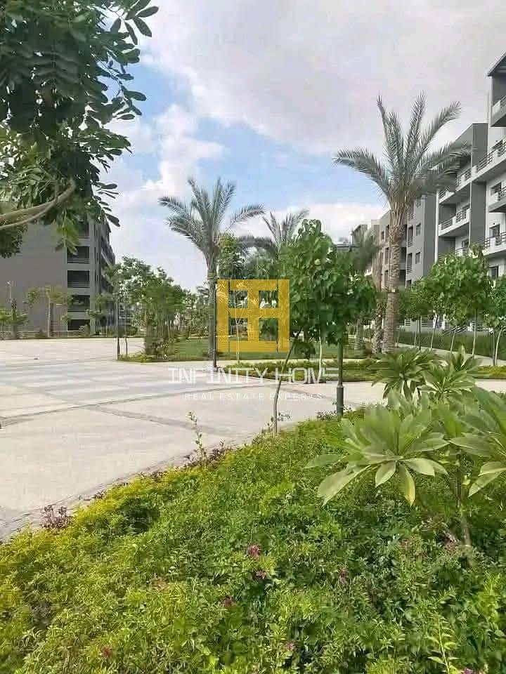 11 584245022_122195739830353728_1739718943771985875_n. jpg