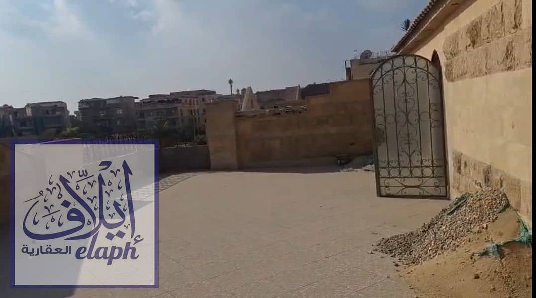 5 شسيشسيضص. PNG