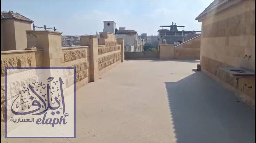 6 سيؤيؤسيب. PNG