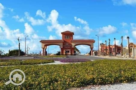 فلیٹ 3 غرف نوم للبيع في عجمي، الإسكندرية - IMG-20250804-WA0074. jpg