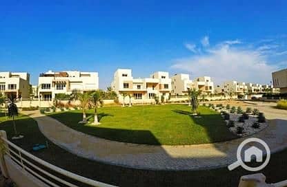 5 8537724-cb0f2o. jpg