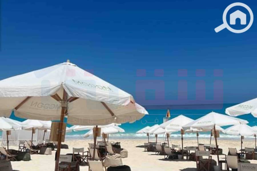 8 WhatsApp Image 2026-01-17 at 2.56. 06 PM (1). jpg