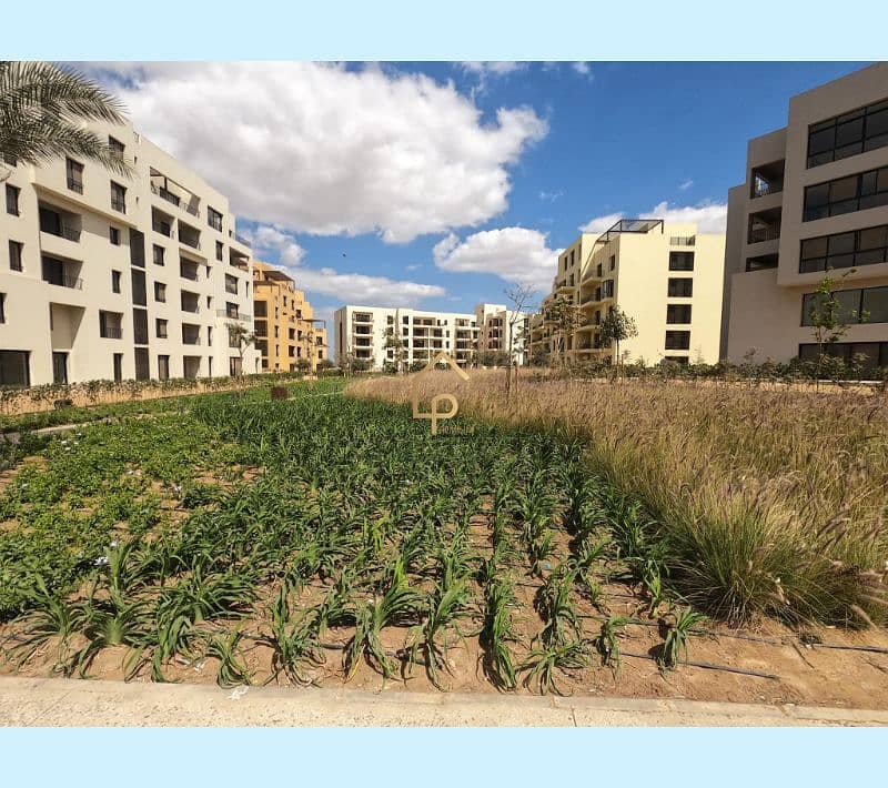 2 434468874_2485471814981905_1935323666548515941_n. jpg