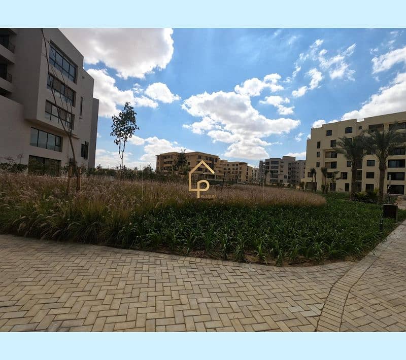 8 433958223_2485471598315260_3556492492862867075_n. jpg