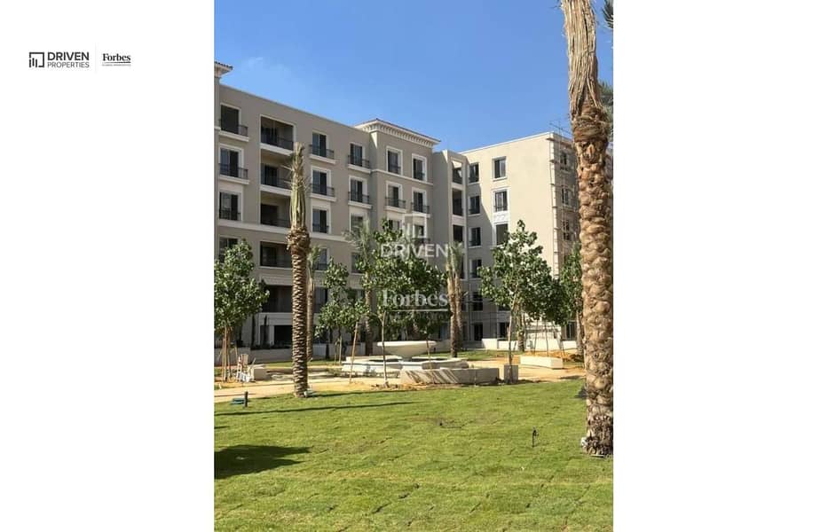 11 09037c0e-855f-11ef-a0dd-02ba39888827. jfif. jpg